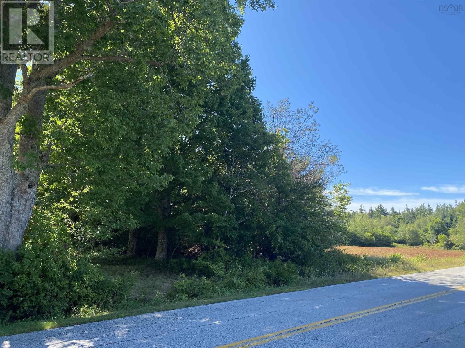 3666 Highway 203 - Photo 4