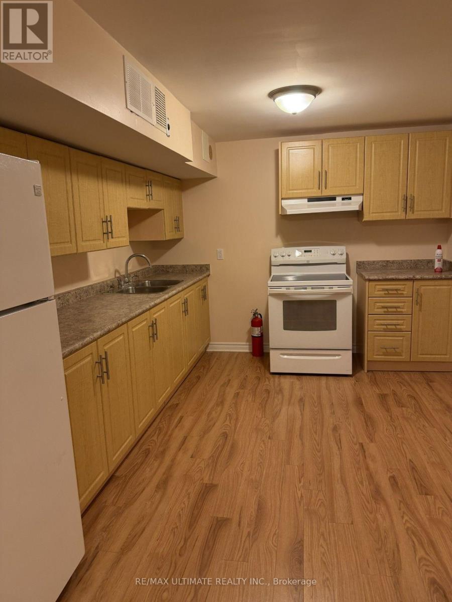 BASEMENT - 58 BRAIDWOOD LAKE ROAD