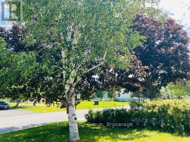 116 NICHOLAS STREET - Photo 3