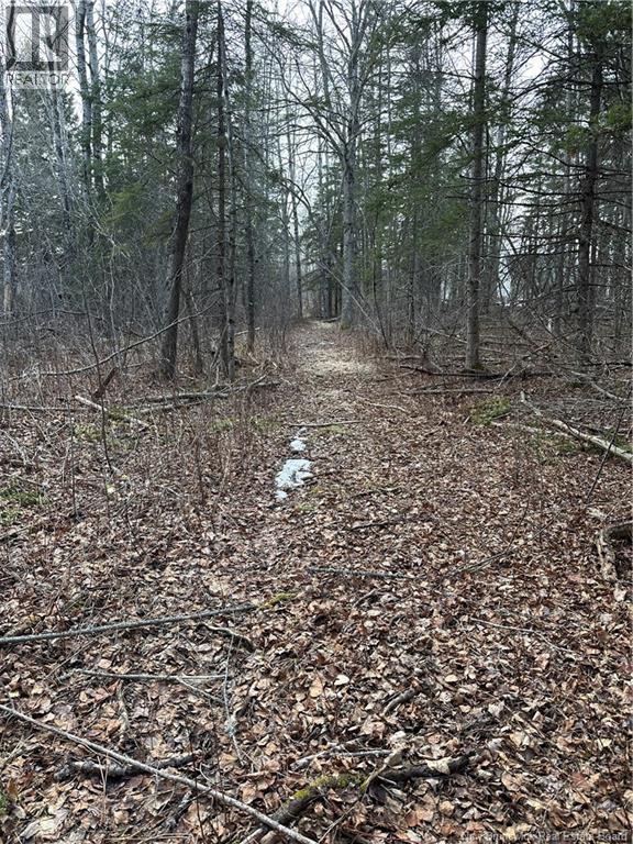 Lot 23-03 Chemin du Lac - Photo 3