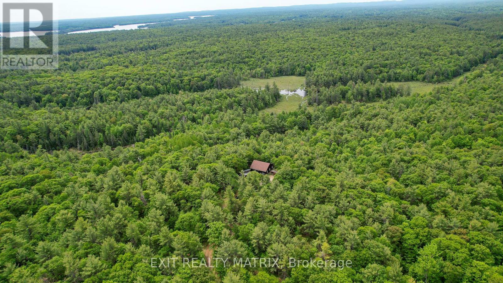 PT LT 9 CONCESSION 1 CONCESSION - Photo 4