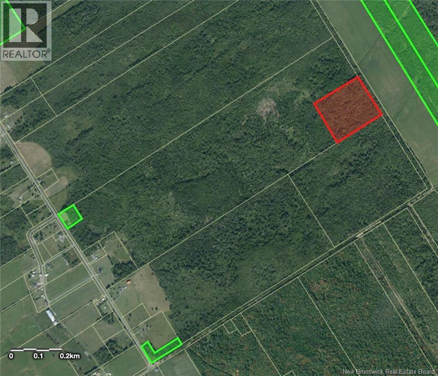 Lot Saint-Damien Road - Photo 3