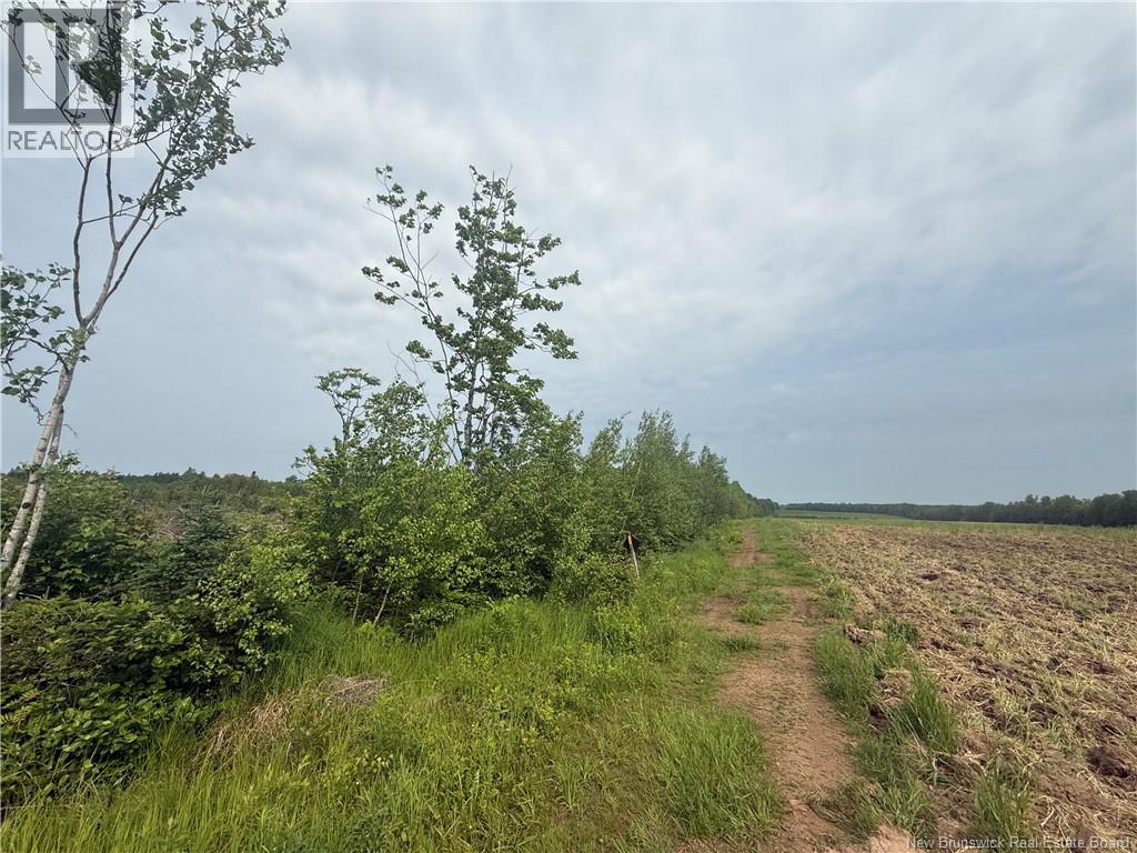 Lot Saint-Damien Road - Photo 4