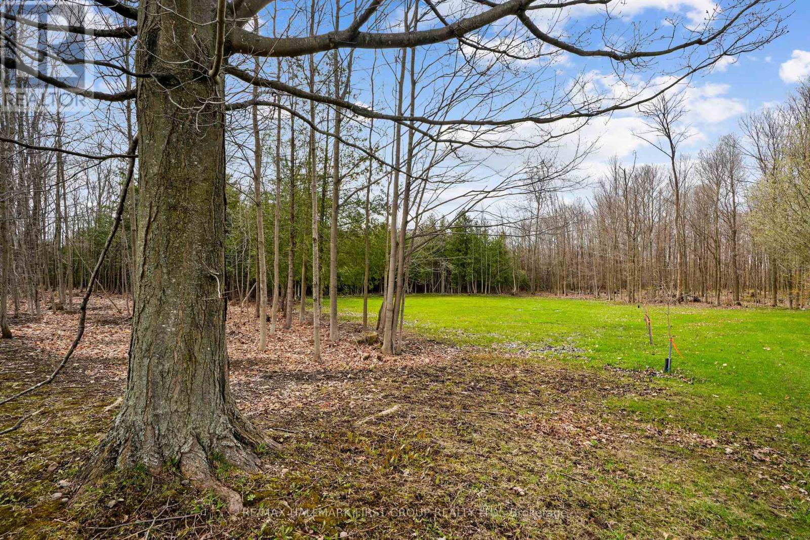 426 GULLY ROAD