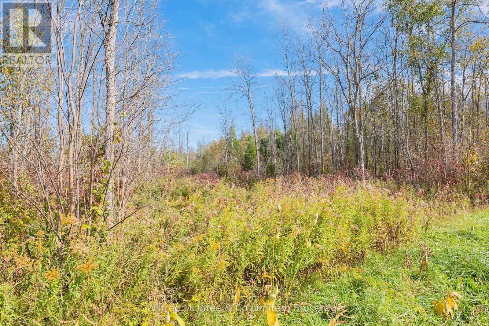 LOT 12 3 CONCESSION