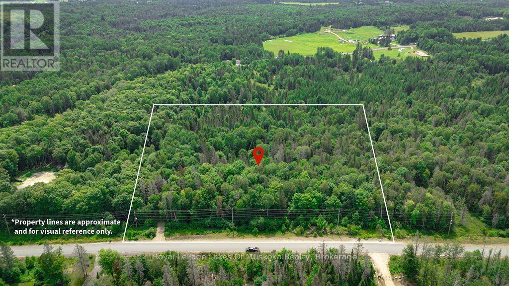 167 NORTH PICKEREL LAKE ROAD