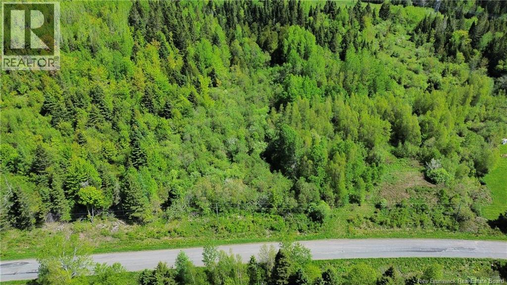 Lot 98-1 Mainstream Road - Photo 4