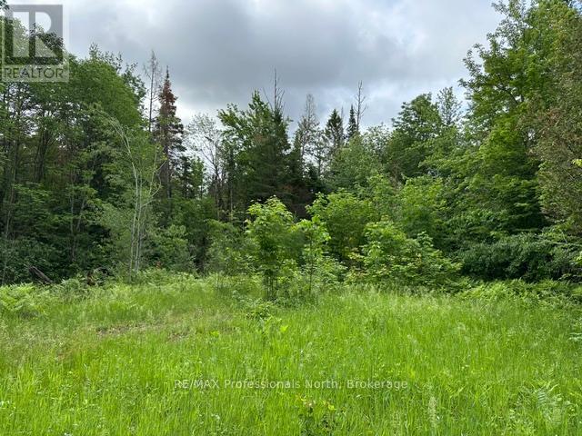 1164 RAVINE ROAD