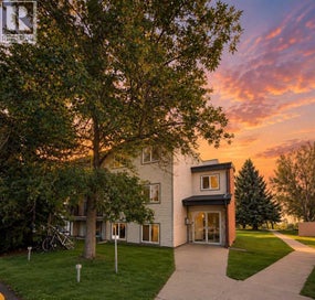 204B, 295 Columbia Boulevard W Lethbridge AB T1K 4B8