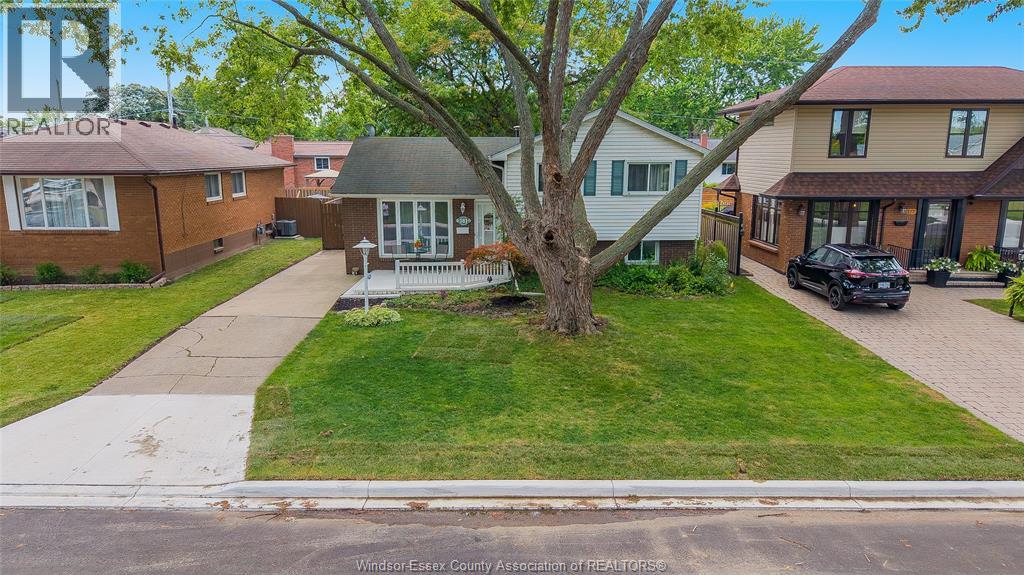 381 CARLING, WINDSOR, ON N8S 3X7 - Image 3396477804.jpeg?d=l