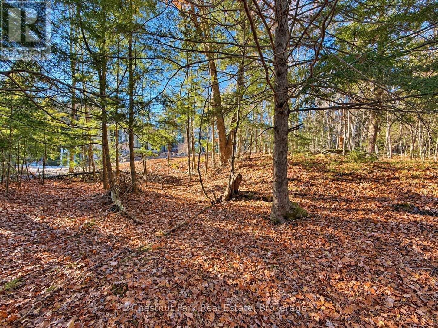 26 BLAIR POINT ROAD
