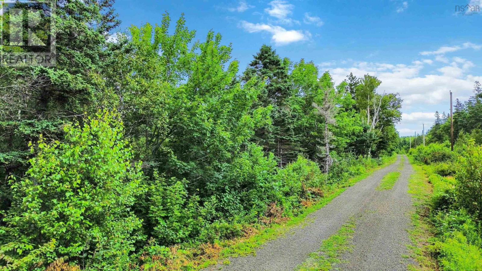 Lot 4 Hampton Mountain Road - Photo 4