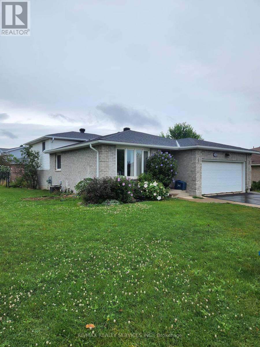 BASEMENT - 464 THORNDALE DRIVE