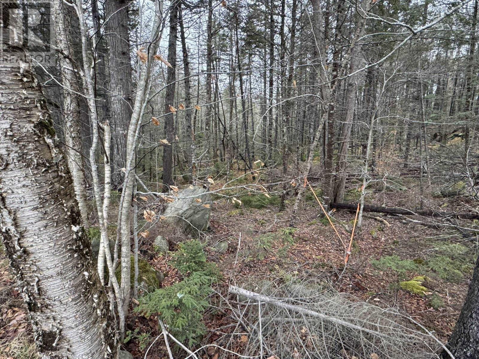 Lot 78 Thumb Cap Point - Photo 3