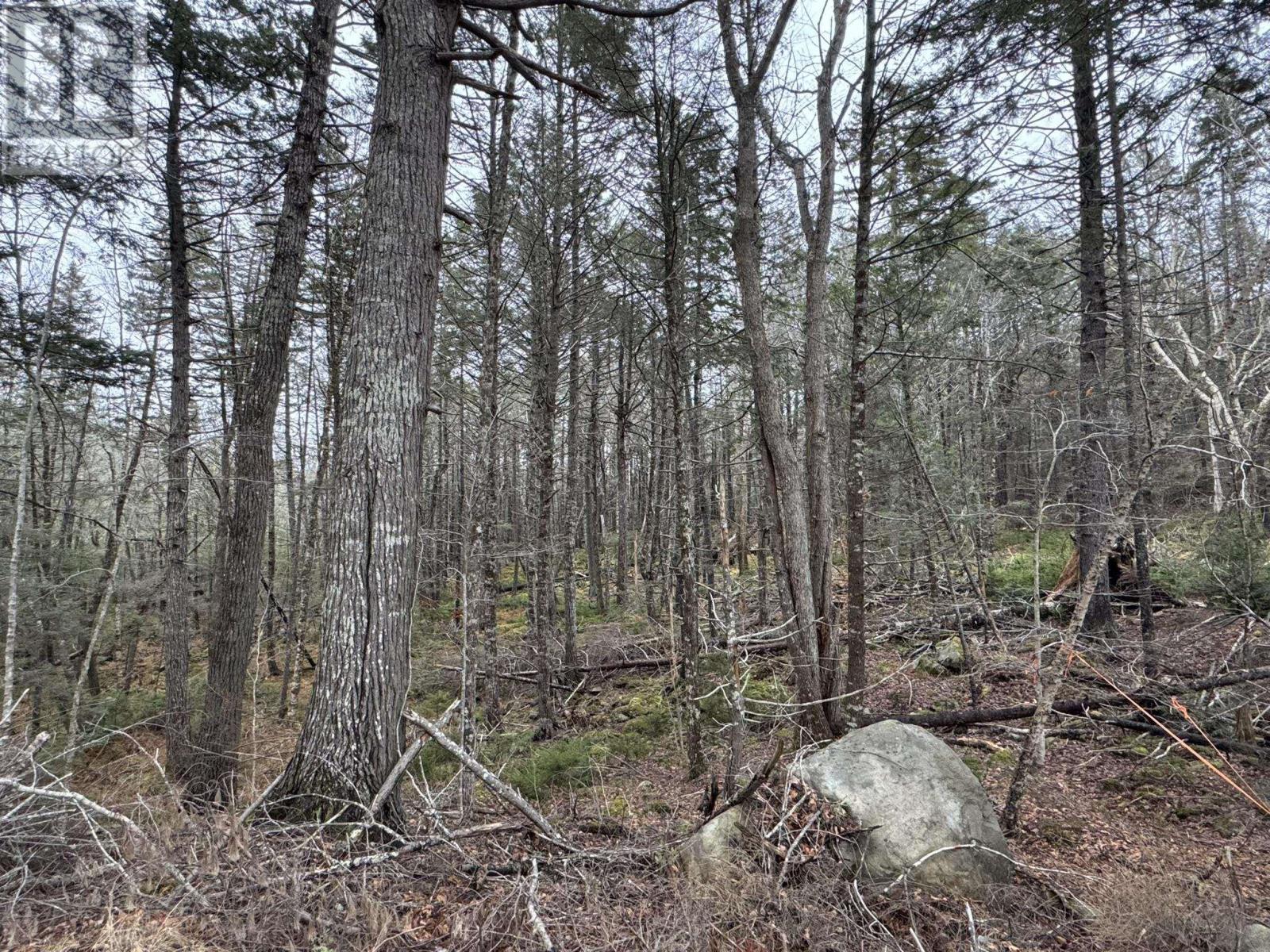Lot 78 Thumb Cap Point - Photo 4