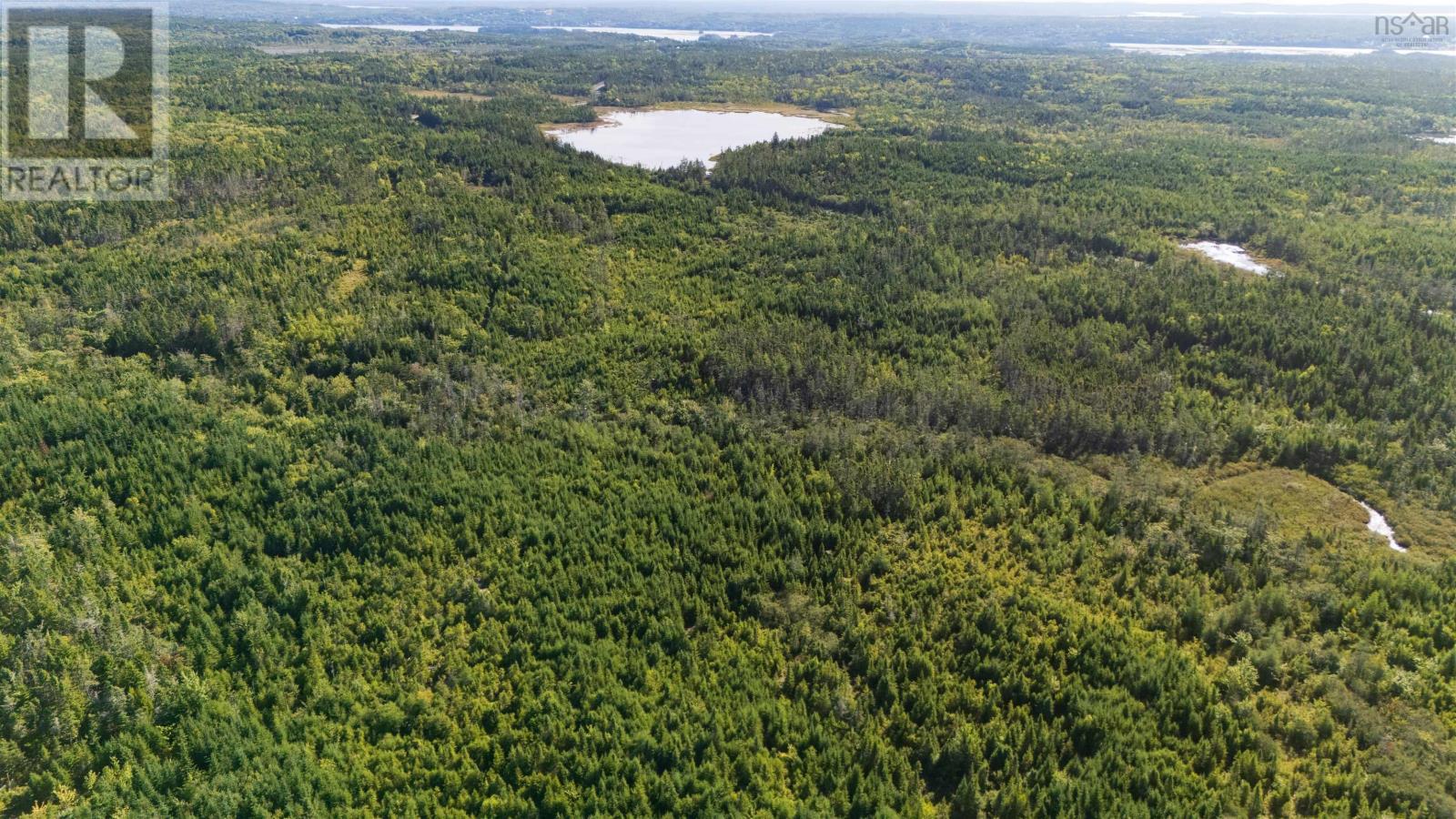 Lots Pettipas Lane - Photo 3