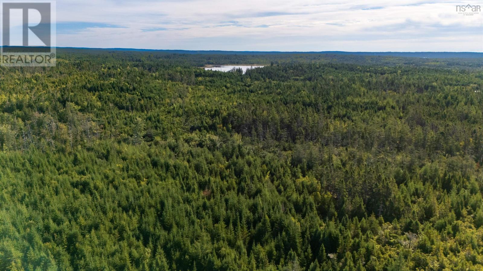 Lots Pettipas Lane - Photo 4