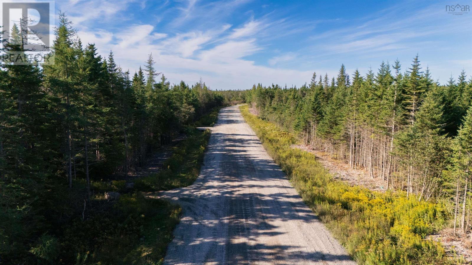Lots Pettipas Lane - Photo 2