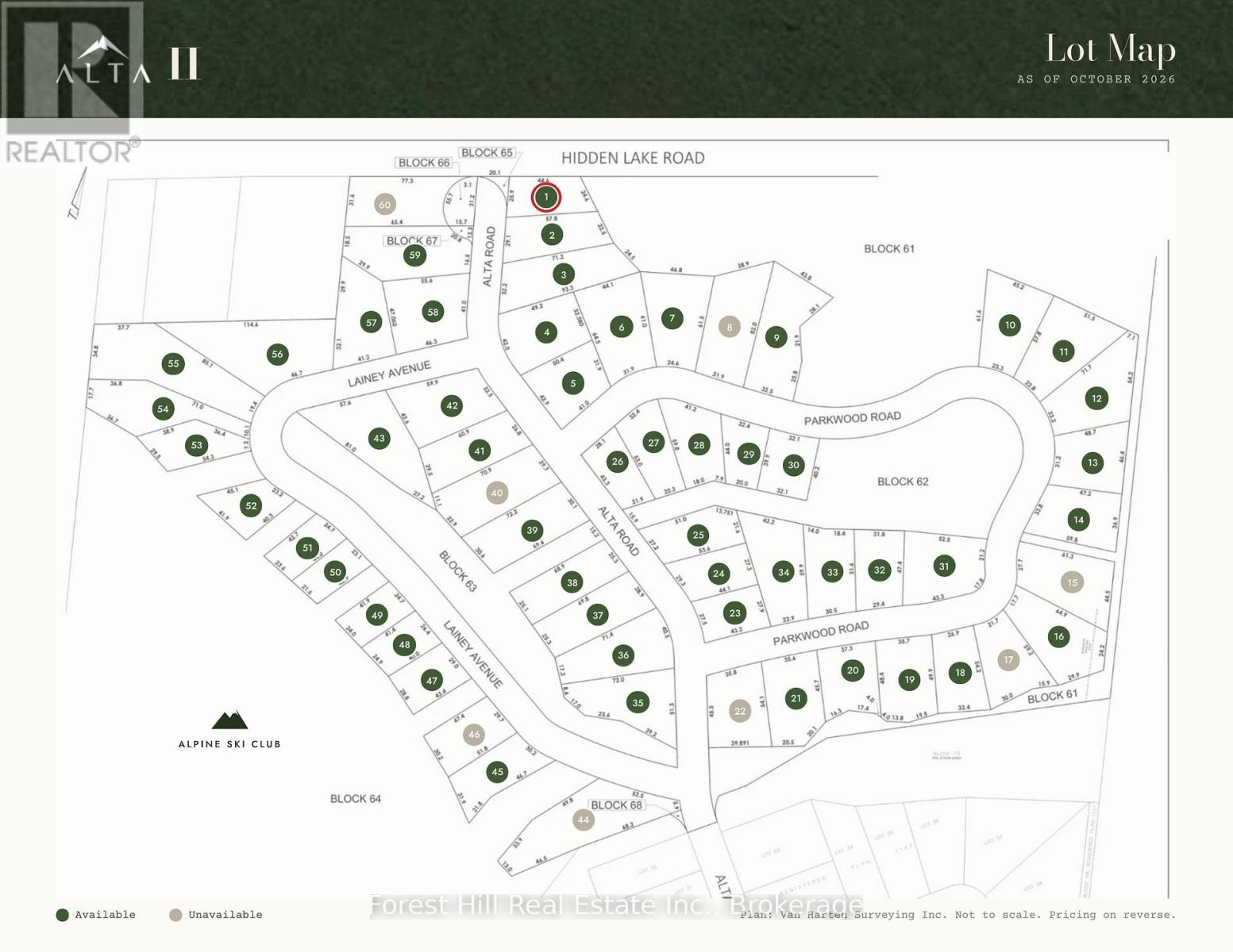 LOT 1 ALTA ROAD