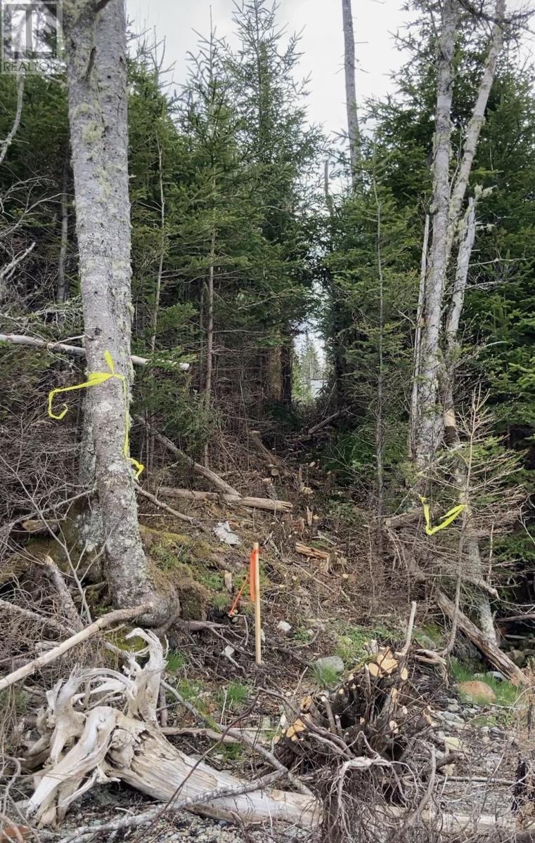 Lot 21-2 West Liscomb Point Road - Photo 3