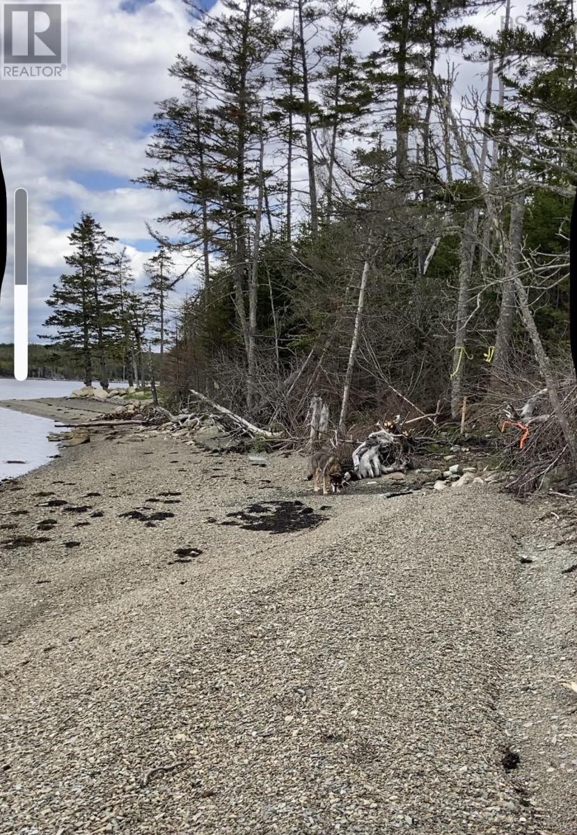Lot 21-2 West Liscomb Point Road - Photo 2