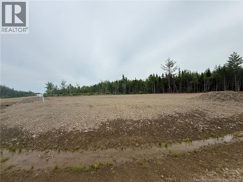 Lot Laverdure Street - Photo 2