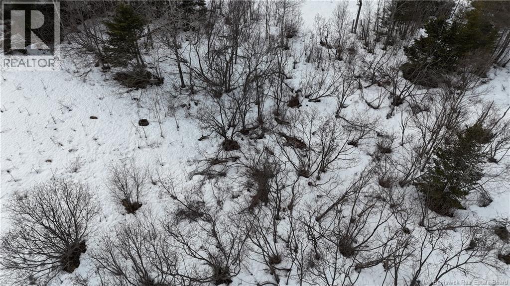 Goldsworthy Road - Photo 4