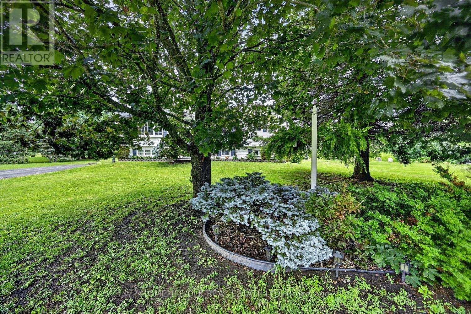 6 KIMBERLEY CRESCENT