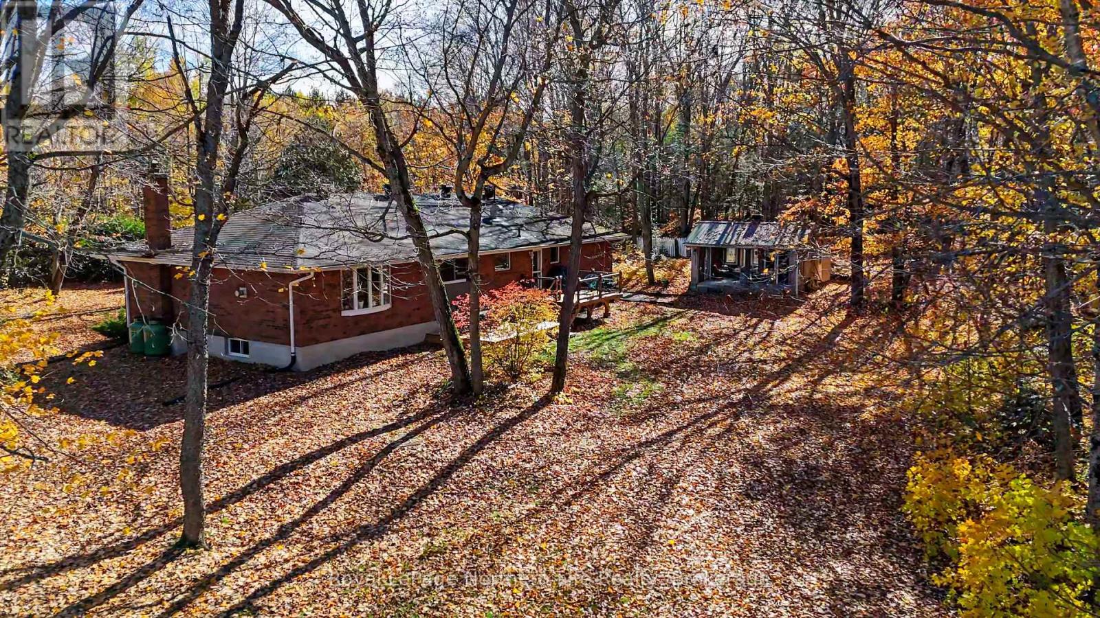 23 SPRINGDALE DRIVE
