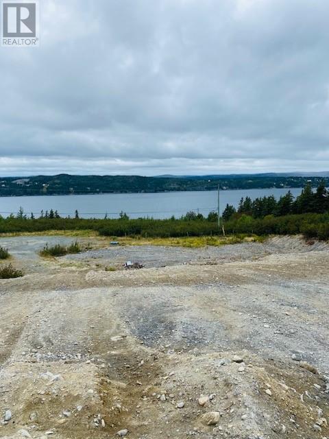 Lot 5 Jacksonville Estates - Photo 3