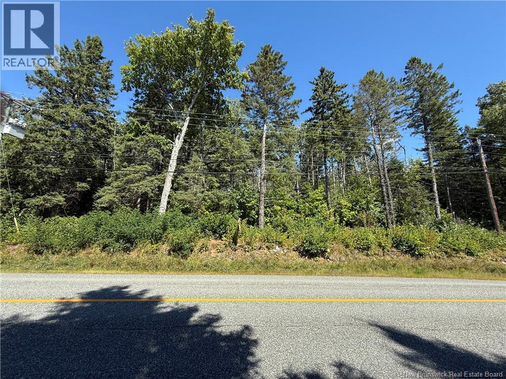 Lot 26-01 Route 105 - Photo 4