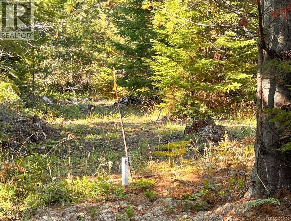 Lot B 6876 Danes Rd