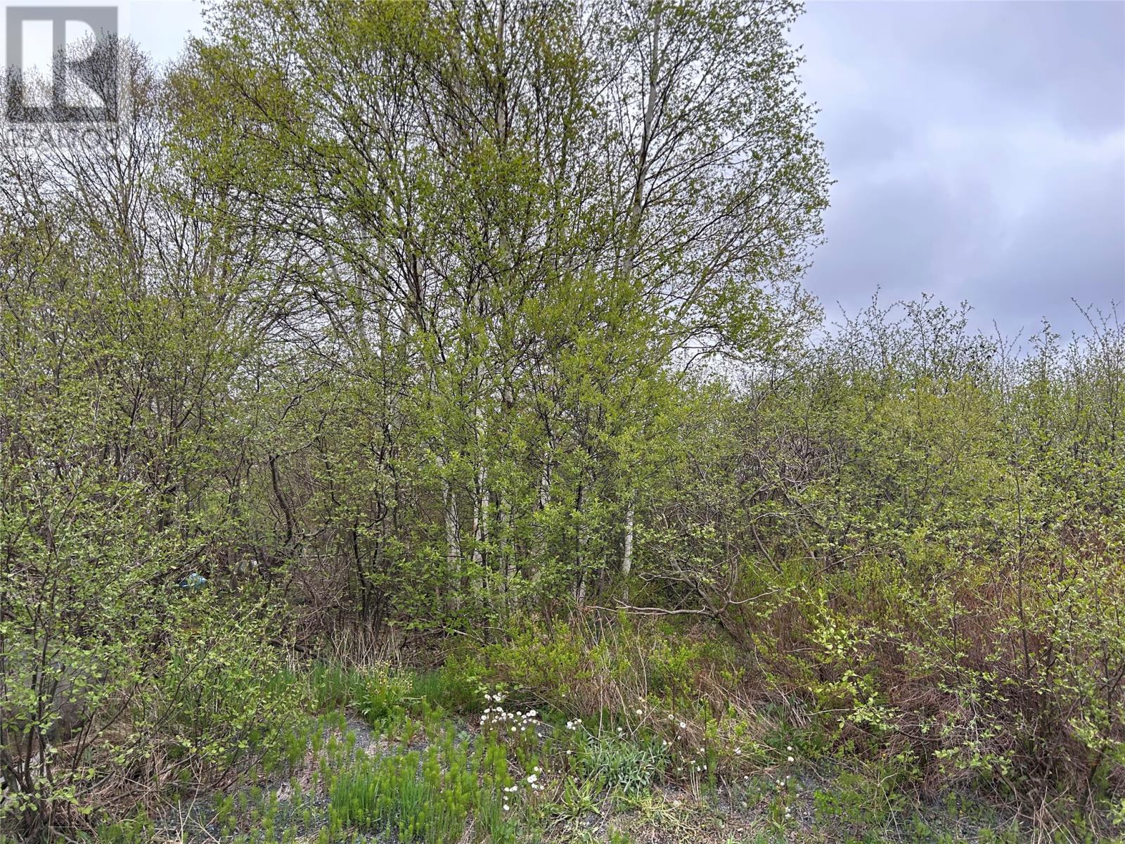 7 BEACH Road - Photo 2