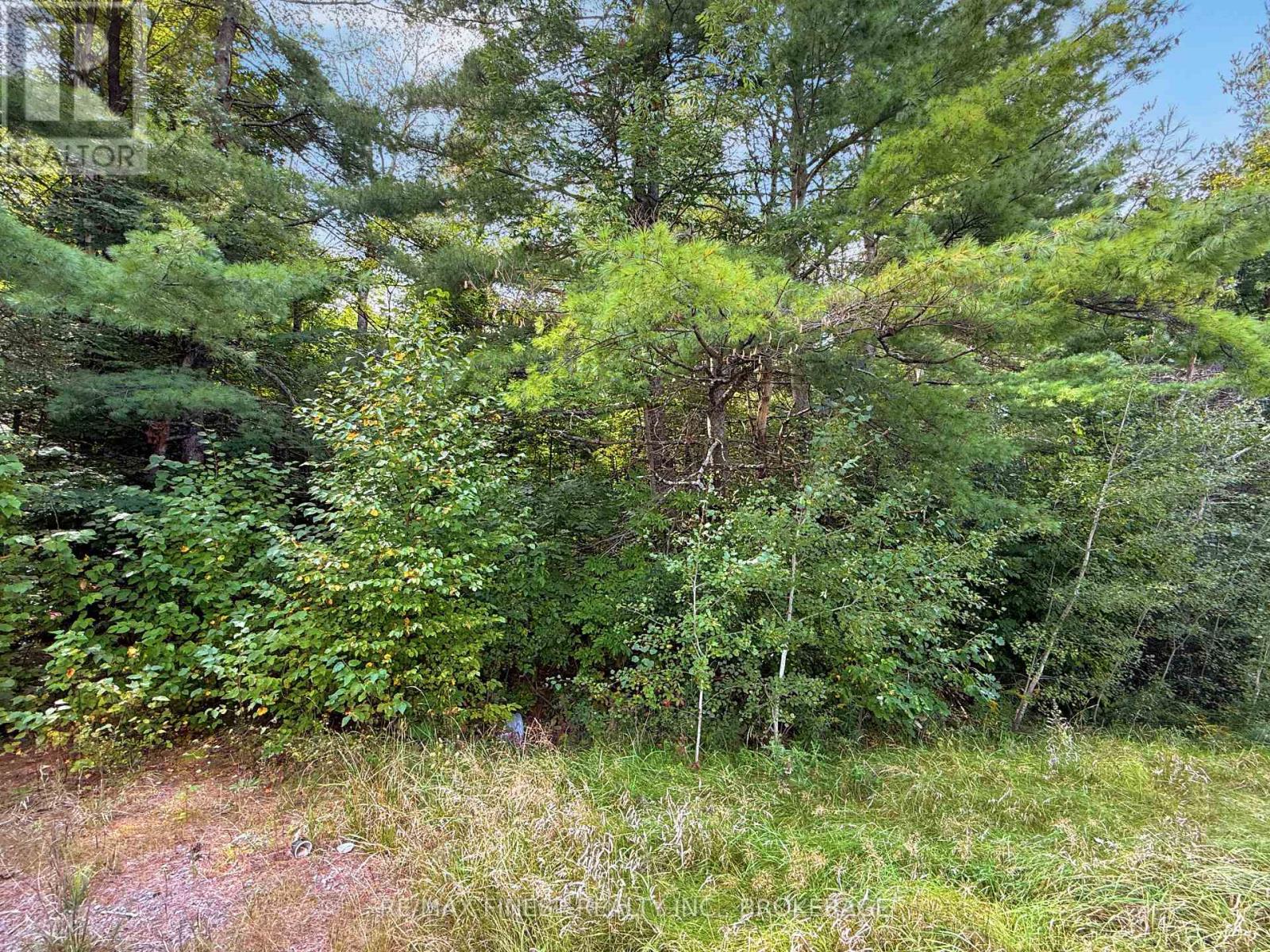 4900 COUNTY RD 4
