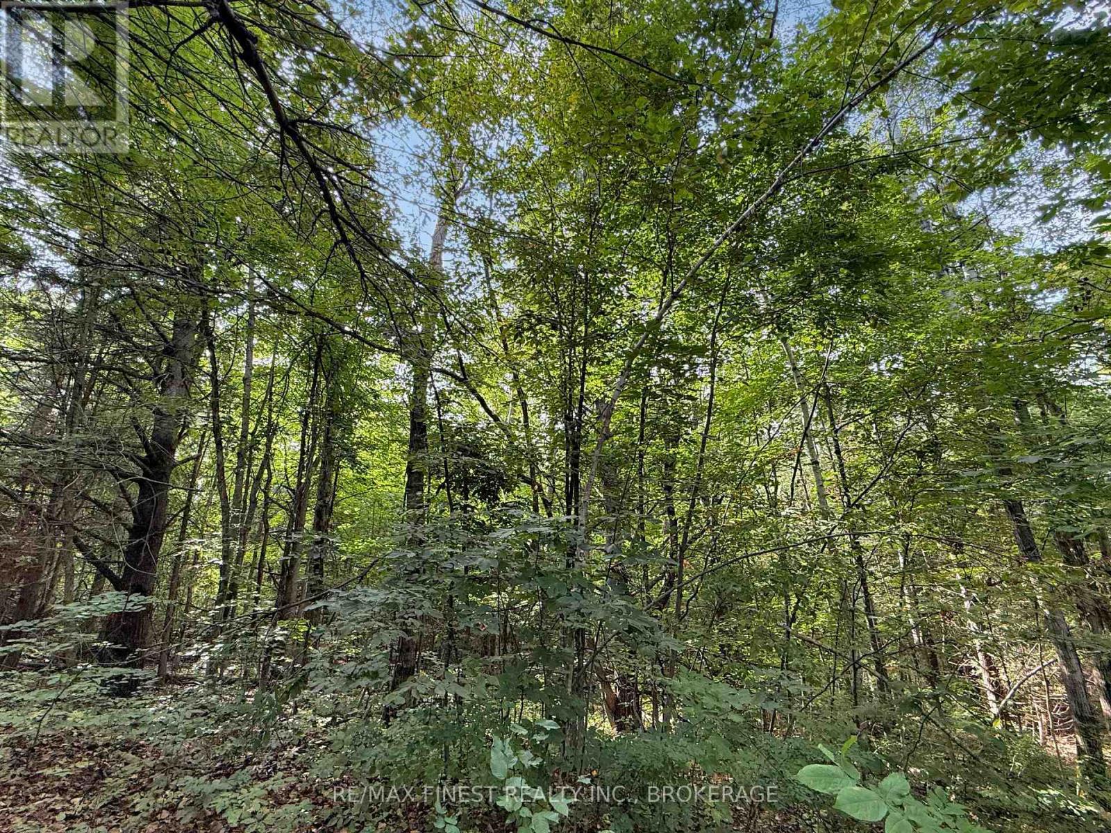 4900 COUNTY RD 4