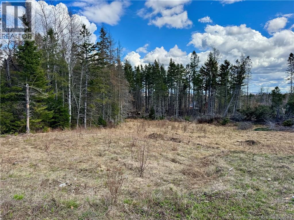 Lot Slopeside Lane - Photo 3