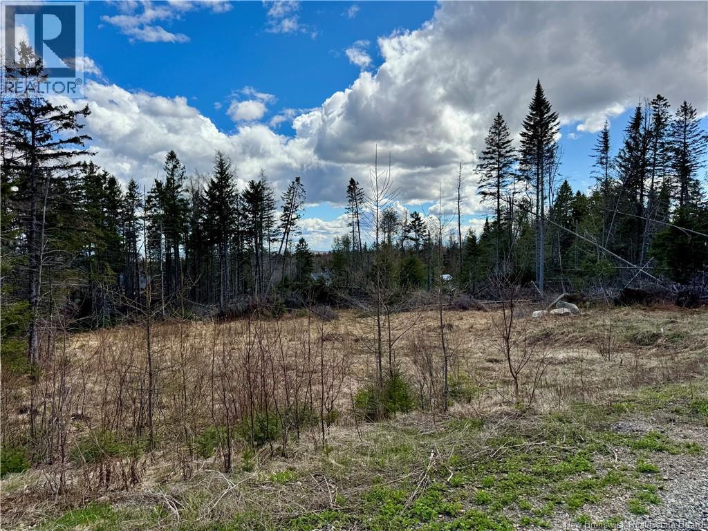 Lot Slopeside Lane - Photo 2