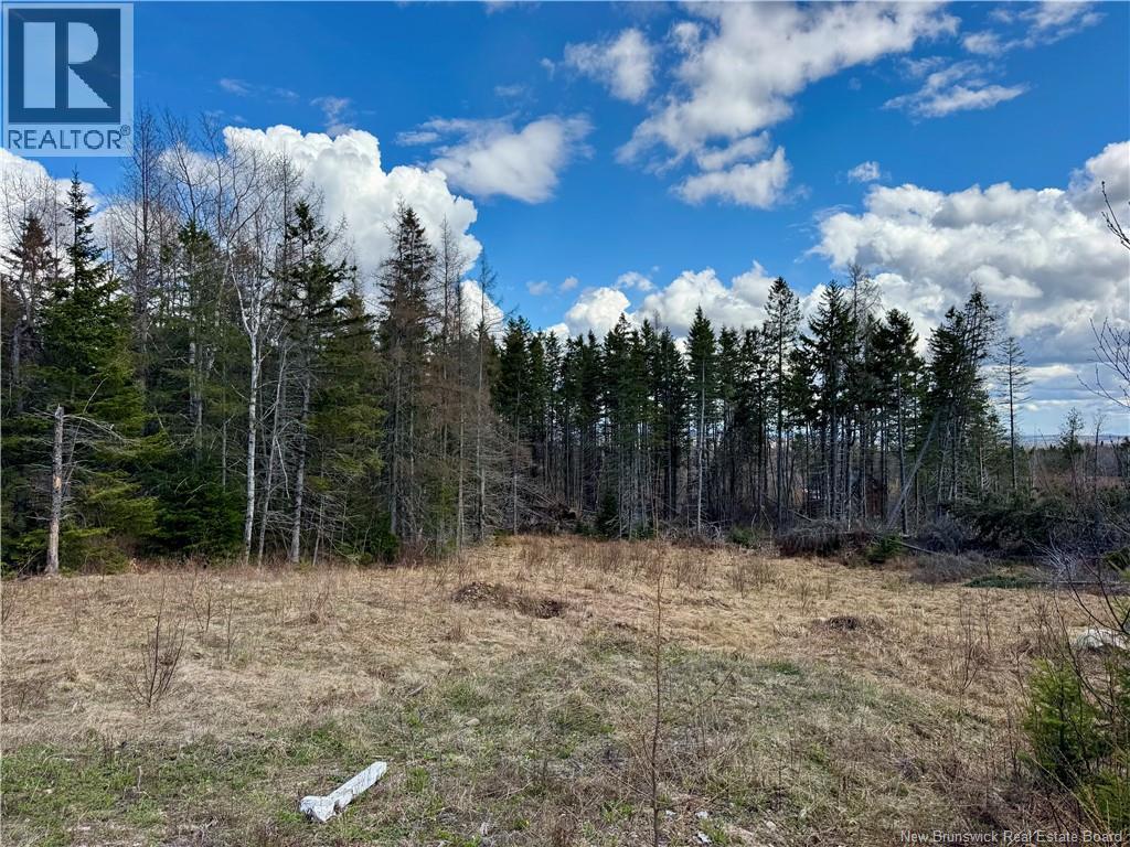 Lot Slopeside Lane - Photo 4