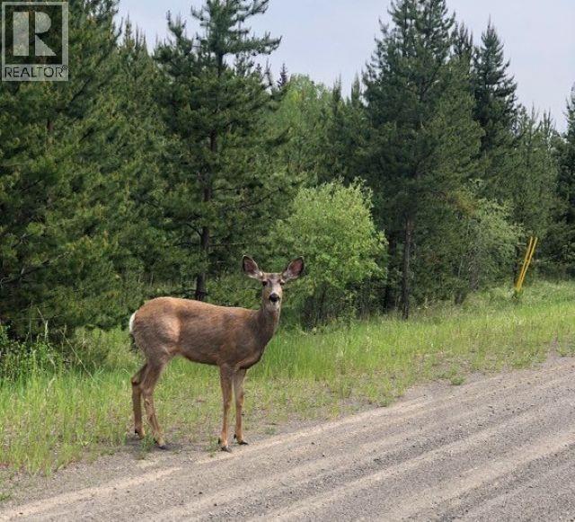 LOT 2 5916 LITTLE FORT 24 HIGHWAY