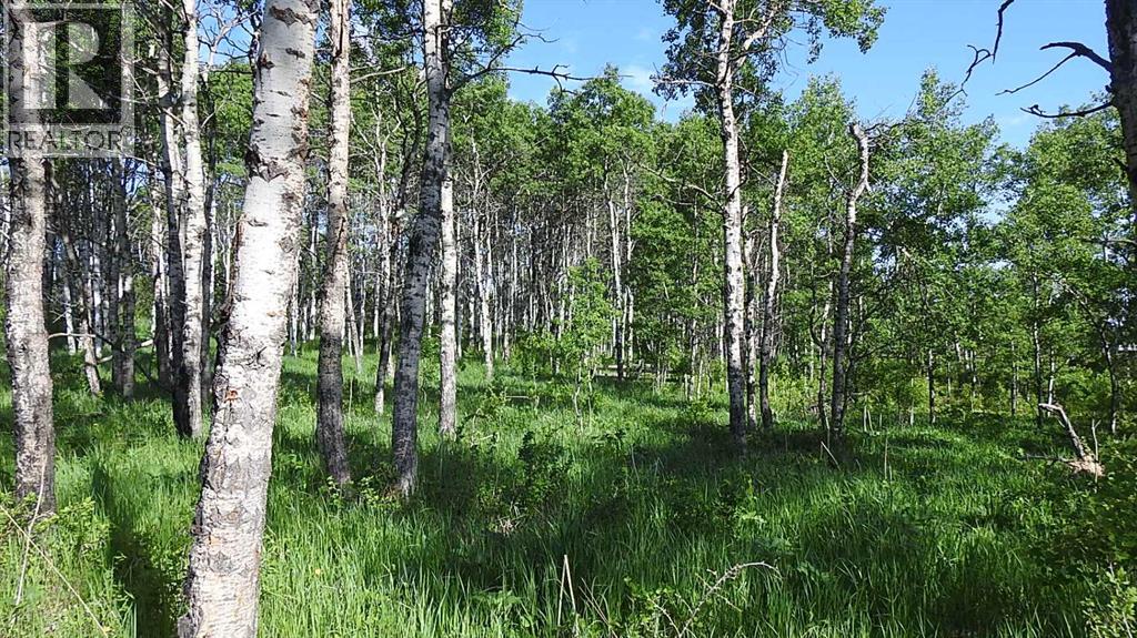 79.41 Acres SE-13-22-3W5