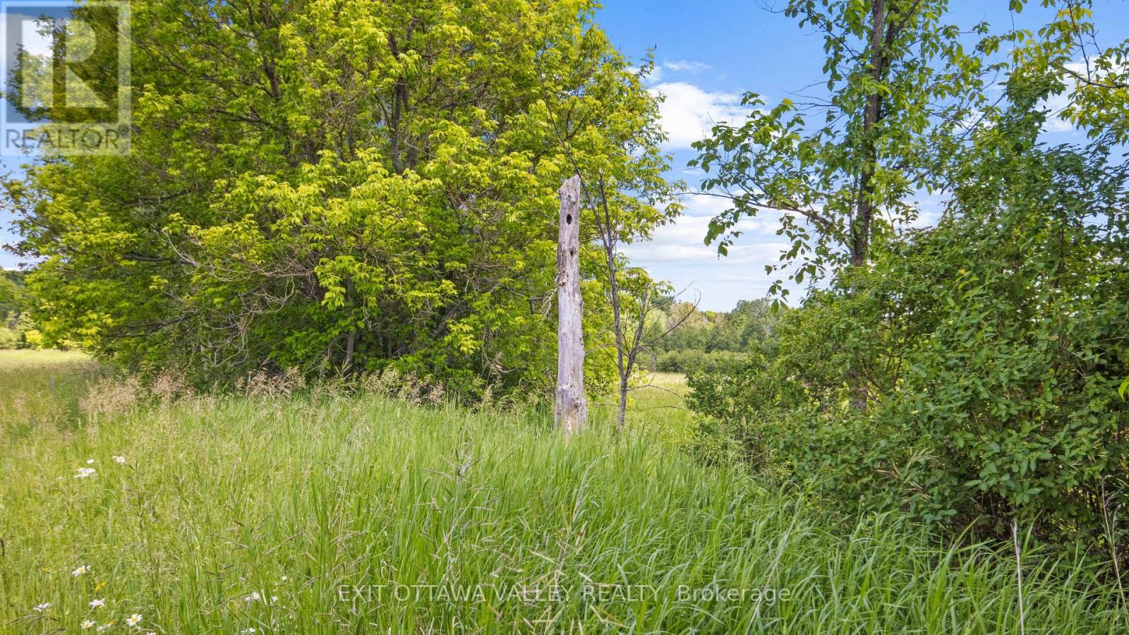 3510 FOYMOUNT ROAD - Photo 3