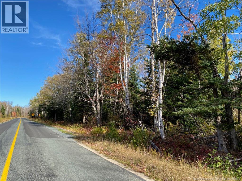 Lot Route 440 - Photo 4