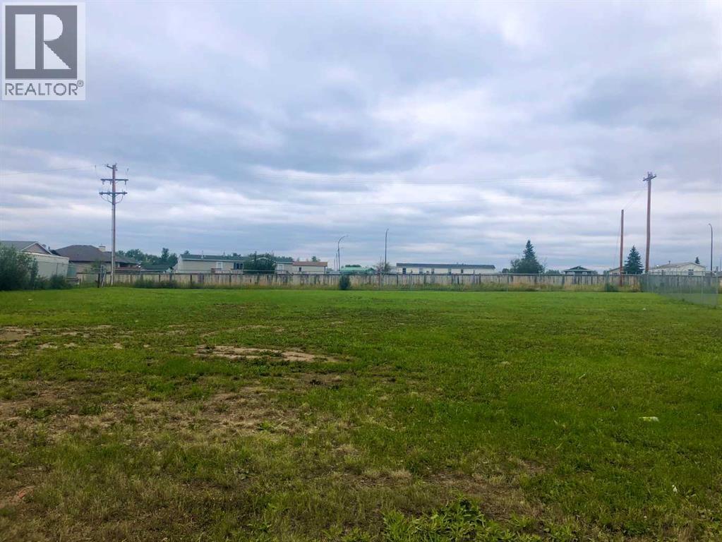 9906 RAINBOW BOULEVARD, HIGH LEVEL, AB T0H 1Z0 - Image 695401731.jpeg?d=l