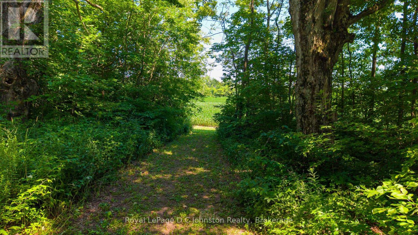 305 SIDEROAD 25