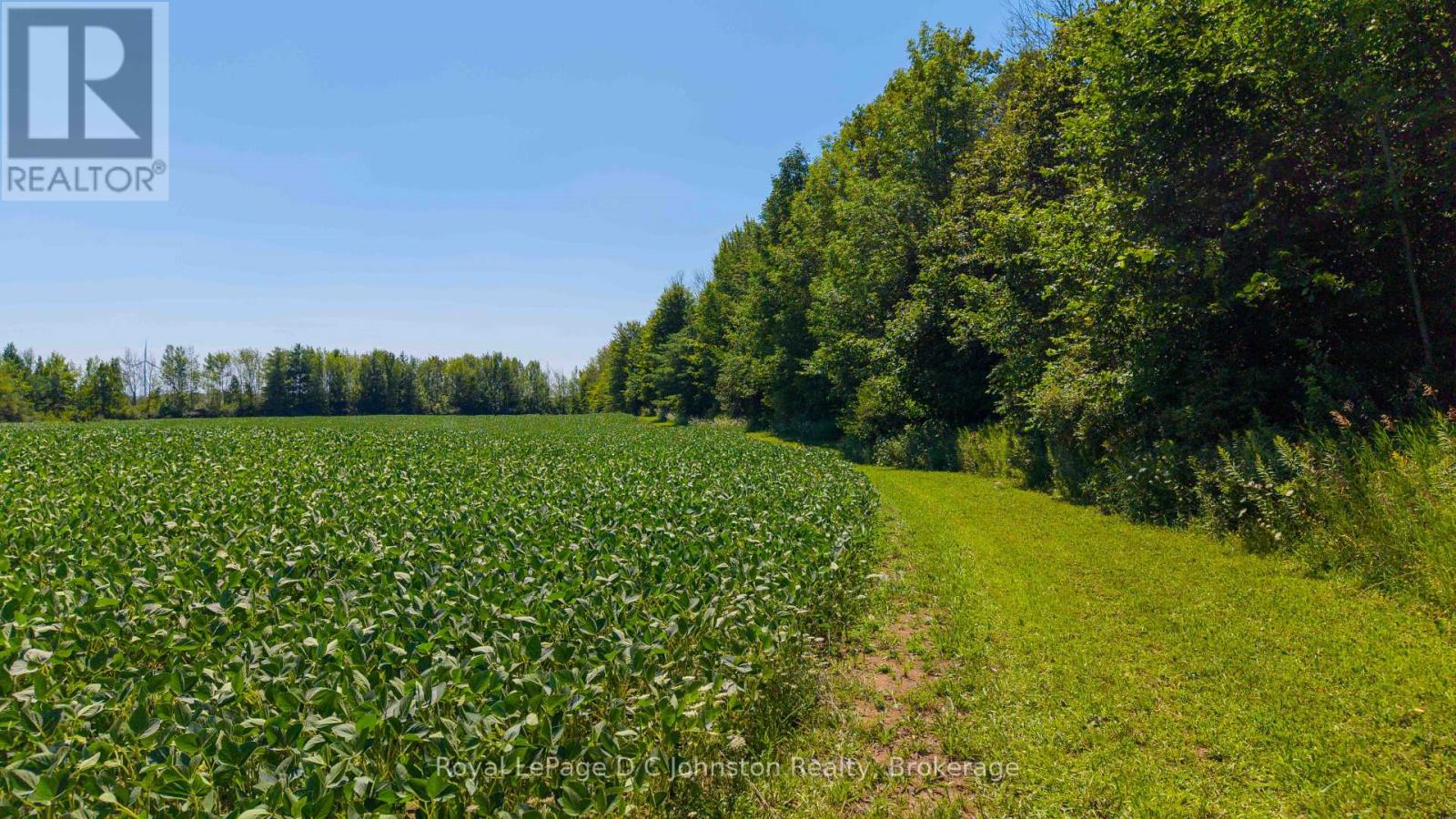 305 SIDEROAD 25