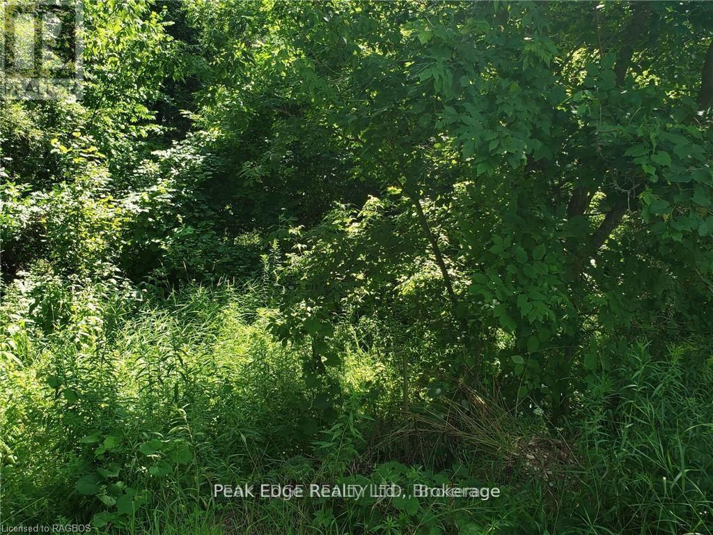 PART LOT 28 12 CONCESSION S