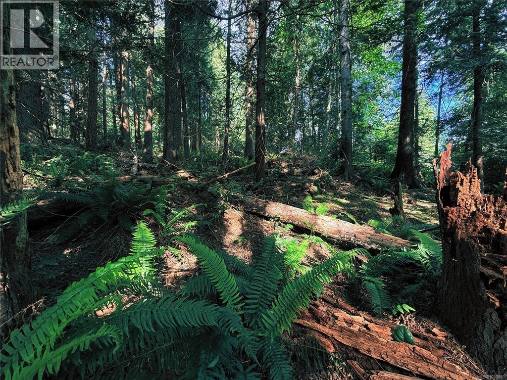 LOT 6 SPRUCE AVE