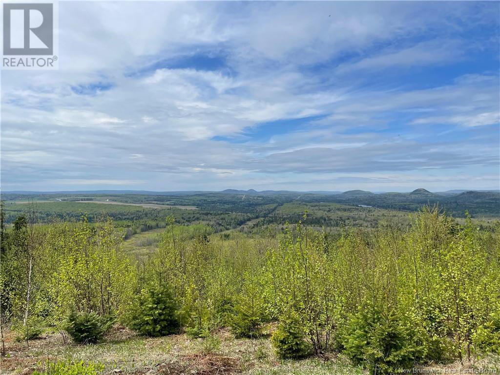 Lot Howland Ridge Road - Photo 2