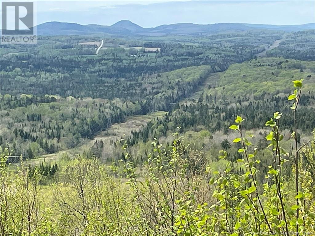 Lot Howland Ridge Road - Photo 3
