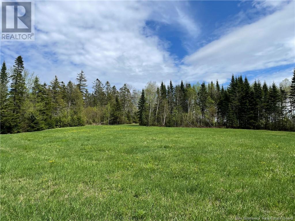 Lot Howland Ridge Road - Photo 4